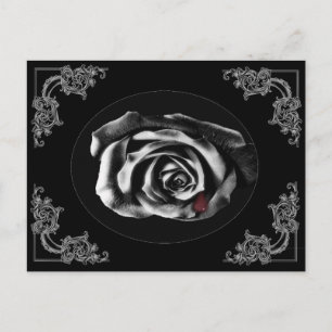 Gothic Vampire Black roos briefkaarten