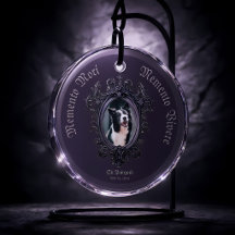 Gothisch Memento Mori Vivere Honden Foto Herdenkin