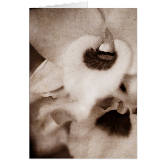 Gothische orchidee - kaart (Voorkant)
