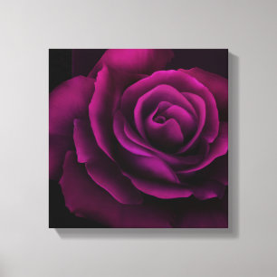 Gothische Paars-rode rozenbloem Canvas Afdruk