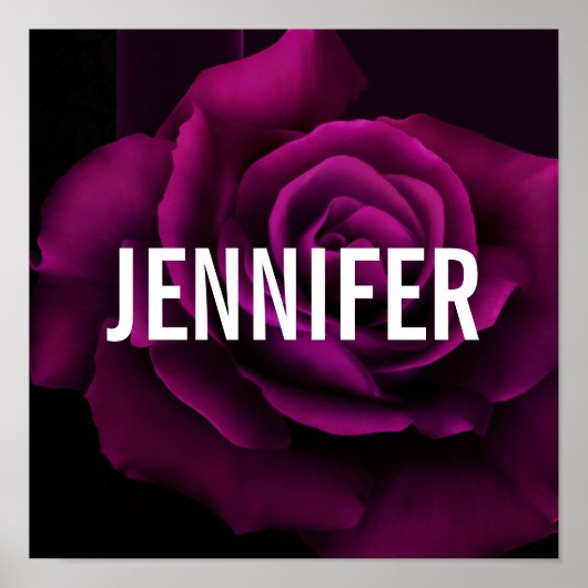 Gothische Paars-rode rozenbloem Poster (Voorkant)