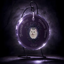 Gotisch Memento Mori Vivere Kat Foto Memoriam