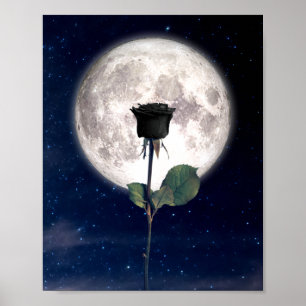 Gotisch, , Victoriaans, zwart Roos, donker Poster