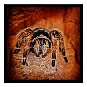 Gotische Halloween griezelige kruipen spin Tarantu Perfect Poster