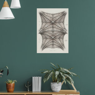 Gotische kathedraal gewelfde plafondarchitectuur F Poster