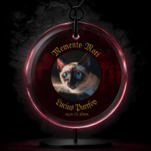 Gotische rode magische symbolen kattenfoto-herdenk