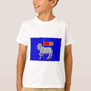 Gotlands län waving flag t-shirt