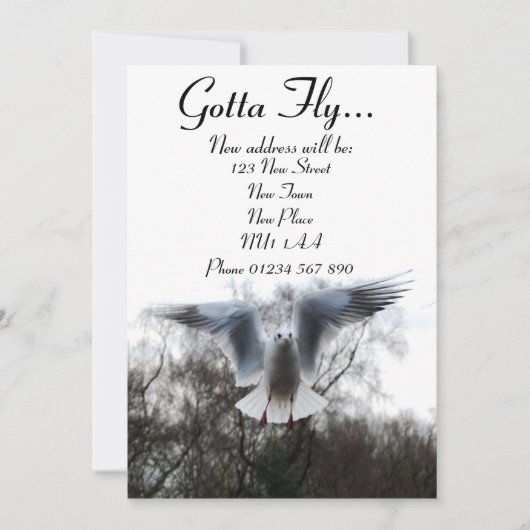 Gotta Fly - Nouvelles Cartes D'Adresse (Devant)