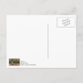 Gotta Go Briefkaart (Achterkant)