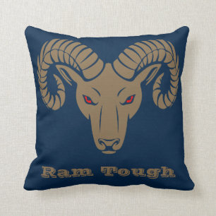 Goud en blauw suikerriet kussen