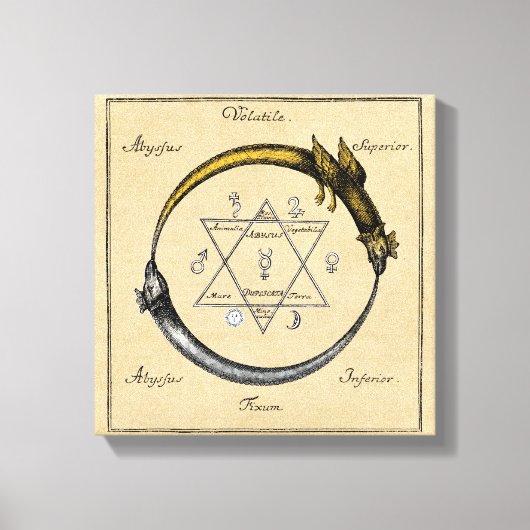 Goud en zilver Ouroboros-symbool Canvas Afdruk (Voorkant)