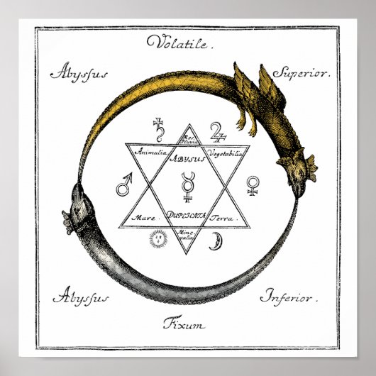 Goud en zilver Ouroboros-symbool Poster (Voorkant)