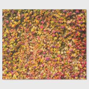 Goud herfstkleuren klimop muur cadeaupapier