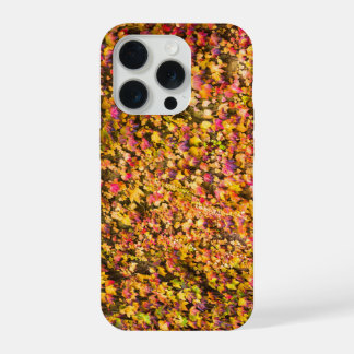 Goud herfstkleuren klimop muur iPhone 15 pro hoesje