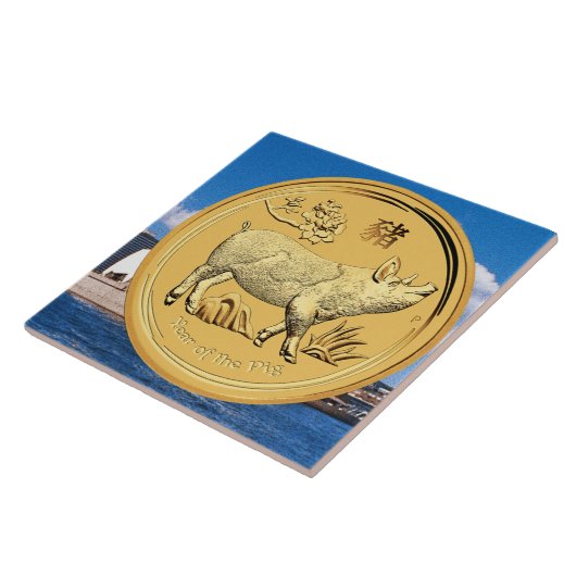 GOUD JAAR VAN DE PIG-MUNTEN TEGELTJE (Zijkant)