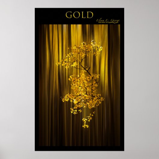 Goud Poster (Voorkant)