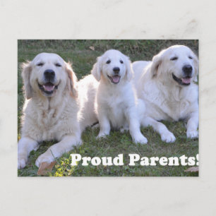 Goud Retriever Puppy met Trotse Ouders Briefkaart