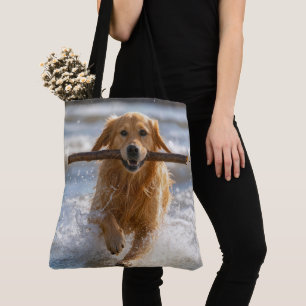Goud Retriever Rent met een Strandstok Draagtas