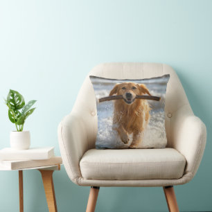 Goud Retriever Rent met een Strandstok Kussen