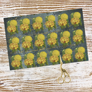Goud Rode Chrysanten op Blauwgroen Damask n Schrij Tissuepapier