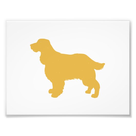 Goud silhouet van Cocker - Kies achterkleur Foto Afdruk (Voorkant)