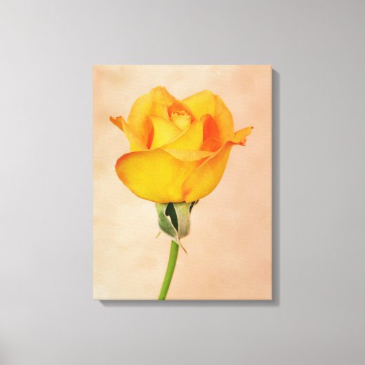 Goud Sinaasappel Single Roos Flower Art Canvas Afdruk (Voorkant)
