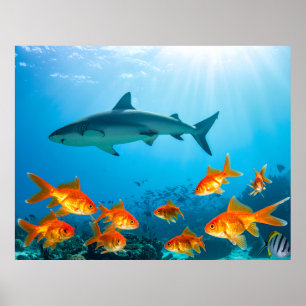 Goud Tussen Haaien Poster