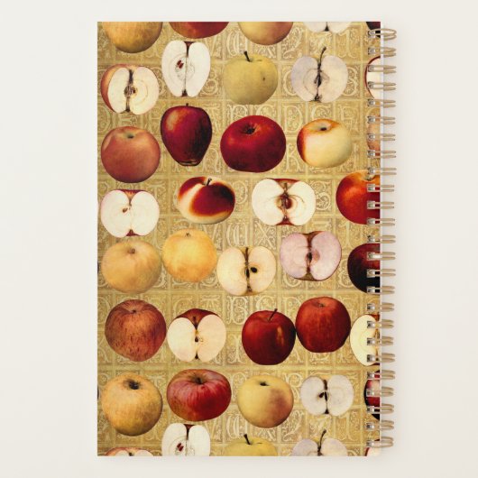  goud voor rode en goudappels planner (Achterkant)
