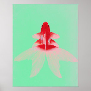 goudbekkens Poster