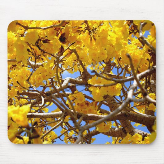 Gouddouche Muismat (Voorkant)