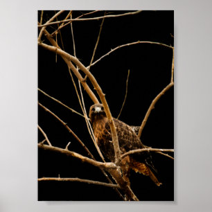 Gouden Afdruk Poster