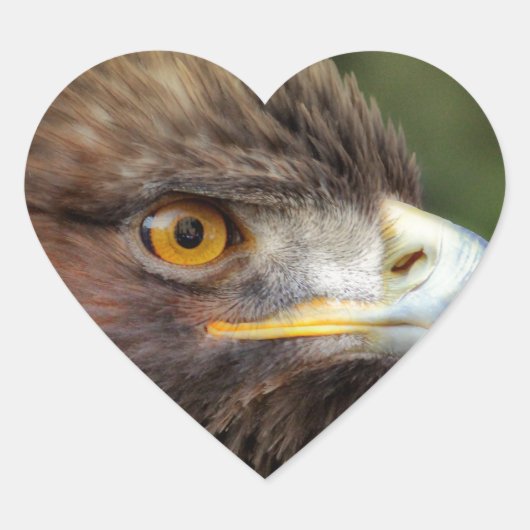 gouden arend hart sticker (Voorkant)
