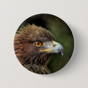 gouden arend ronde button 5,7 cm