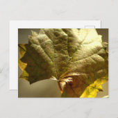 Gouden Blad Foto Op Briefkaart (Voorkant / Achterkant)