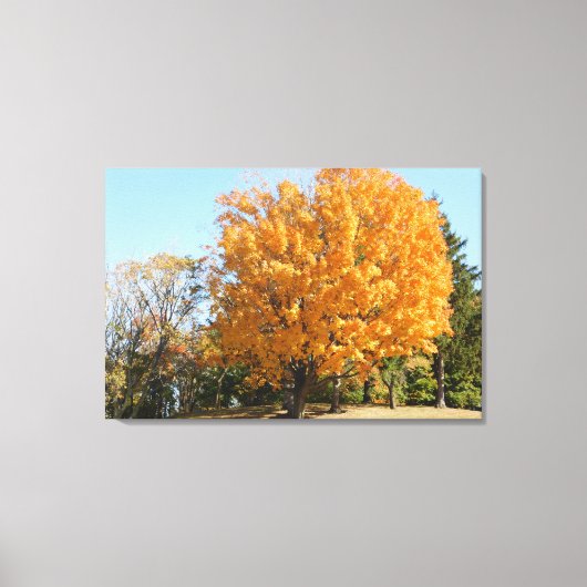 Gouden boom in de herfst canvas afdruk (Voorkant)