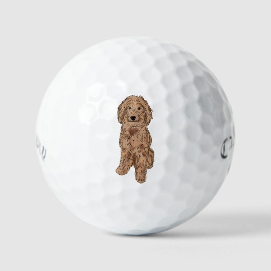 Gouden doodle hond golfballen (Voorkant)