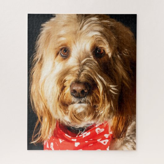 Gouden doodle Puppy Hond Legpuzzel (Verticaal)