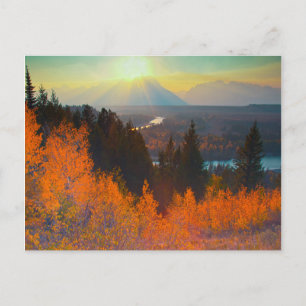 Gouden Espen boven Snake River bij zonsondergang Briefkaart