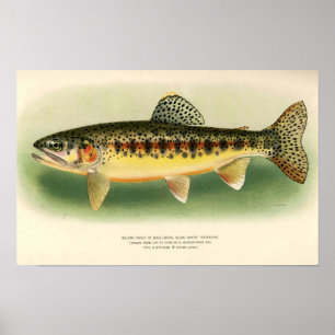  gouden forel poster