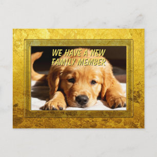 Gouden Frame - Rechthoekige Vorm 8 Golden Retrieve Briefkaart