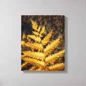 Gouden Gele Varen Fall Bladeren Canvas Afdruk (Voorkant)