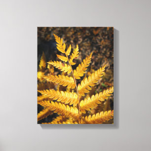Gouden Gele Varen Fall Bladeren Canvas Afdruk