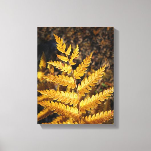 Gouden Gele Varen Fall Bladeren Canvas Afdruk (Voorkant)