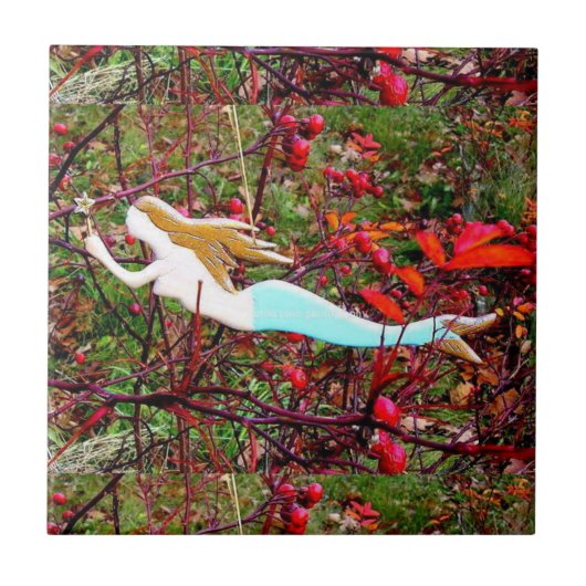 gouden haarzeester tegeltje (Voorkant)