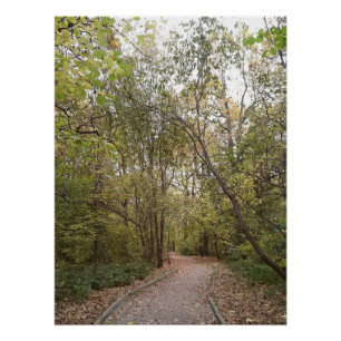 Gouden Herfst Bospad Perfect Poster