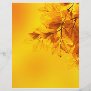 Gouden Herfstbladeren Achtergrond Flyer