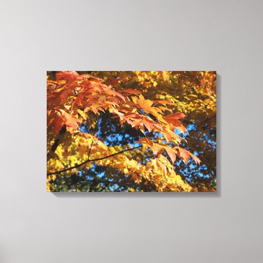 Gouden Herfstbladeren Canvasprint Canvas Afdruk (Voorkant)