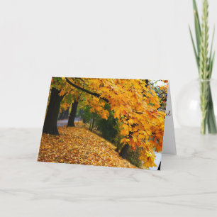 Gouden herfstbomen kaart