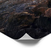 Gouden Horizon Poster (Hoek)