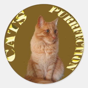 Gouden kattenmunten met gemberkat, ronde Sticker